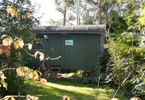 Ein grüner Bauwagen in der Natur